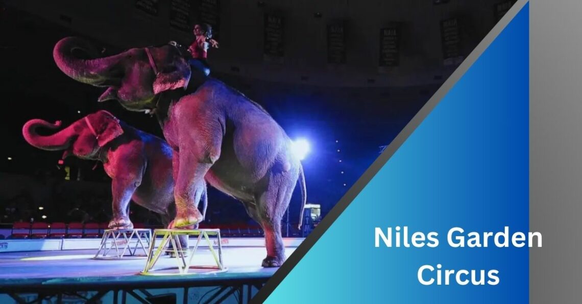 Niles Garden Circus