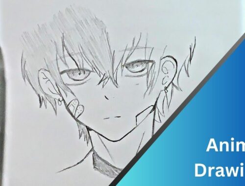 Anime Drawings